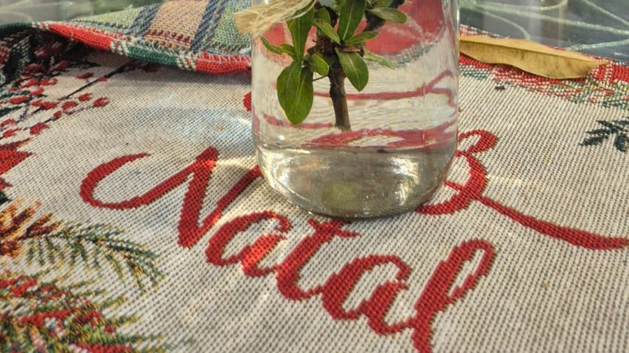 Natal pra viver e passar adiante