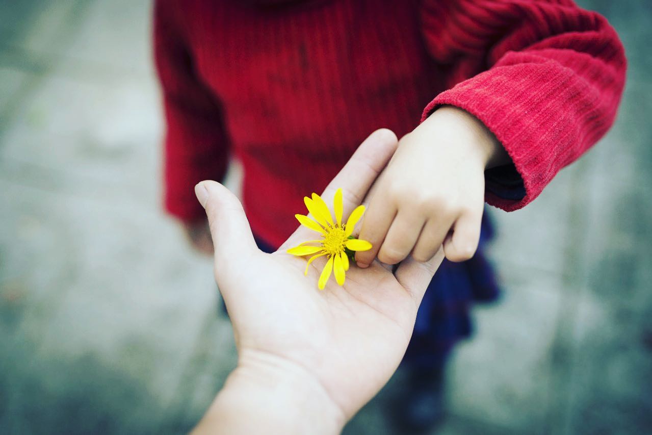 Mão oferecendo uma flor amarela a outra mão, como gesto de cuidado e reconciliação.